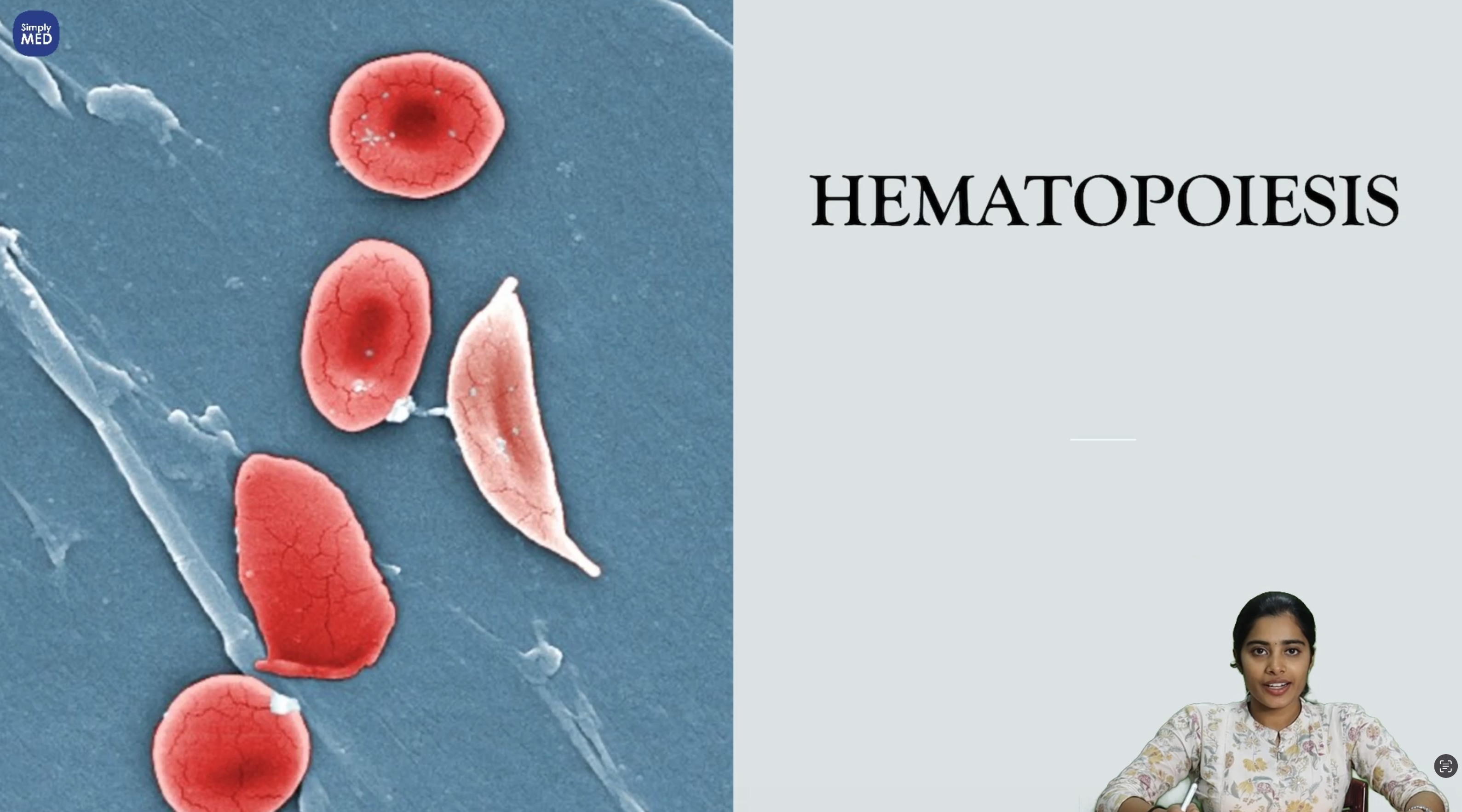 HEMATOPOIESIS