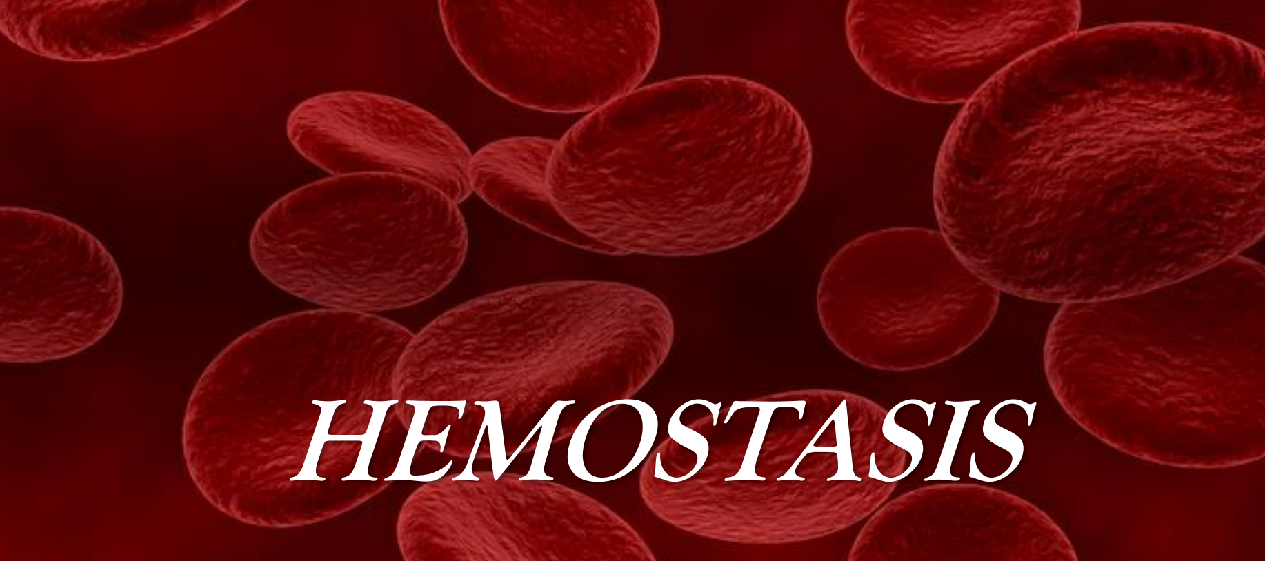 HAEMOSTASIS